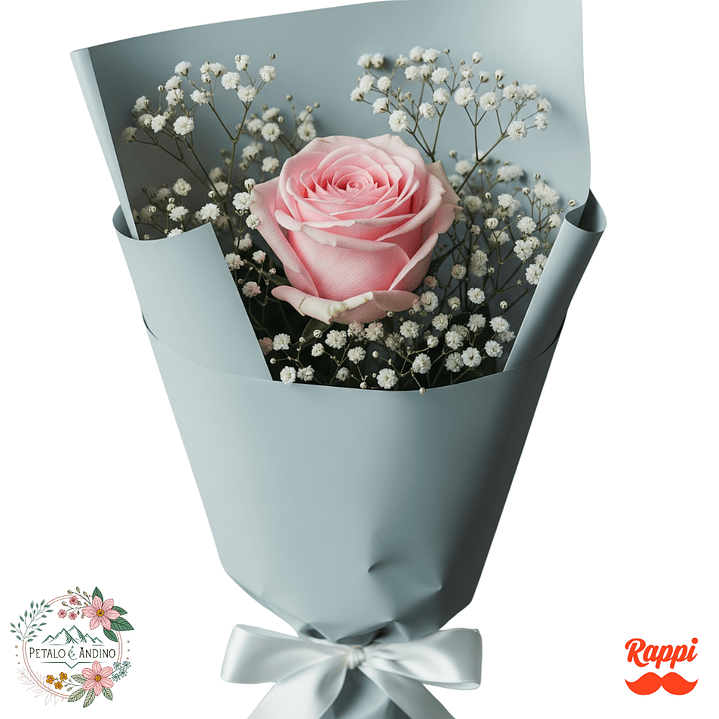 1 Rosa Rosado Claro 1