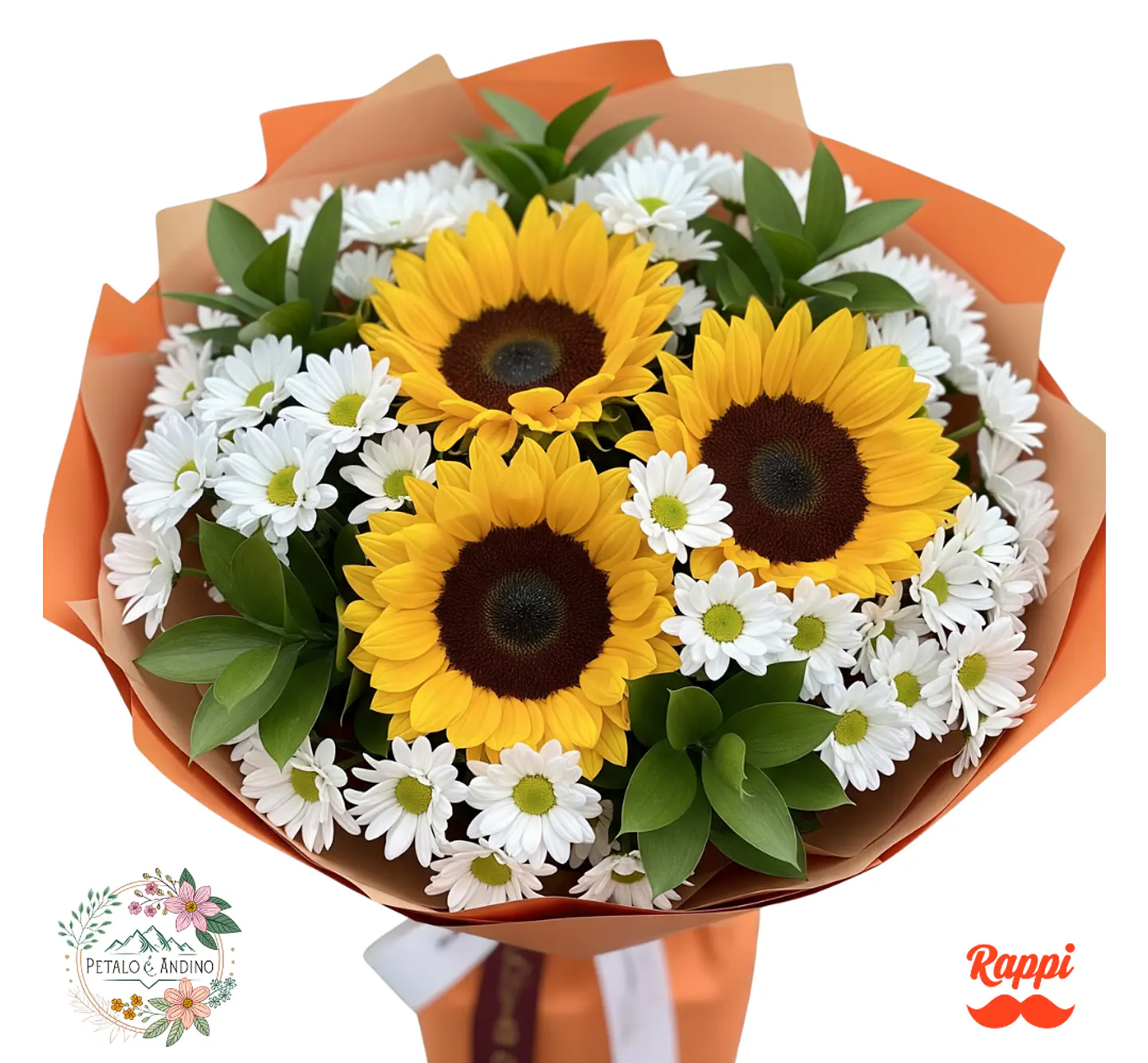 Alegría Campestre 1