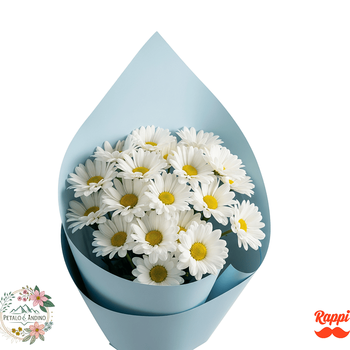 Margaritas Blancas 1