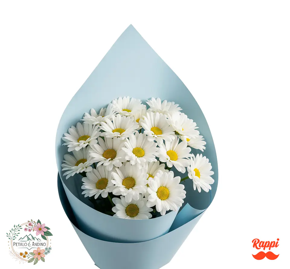 Margaritas Blancas 1