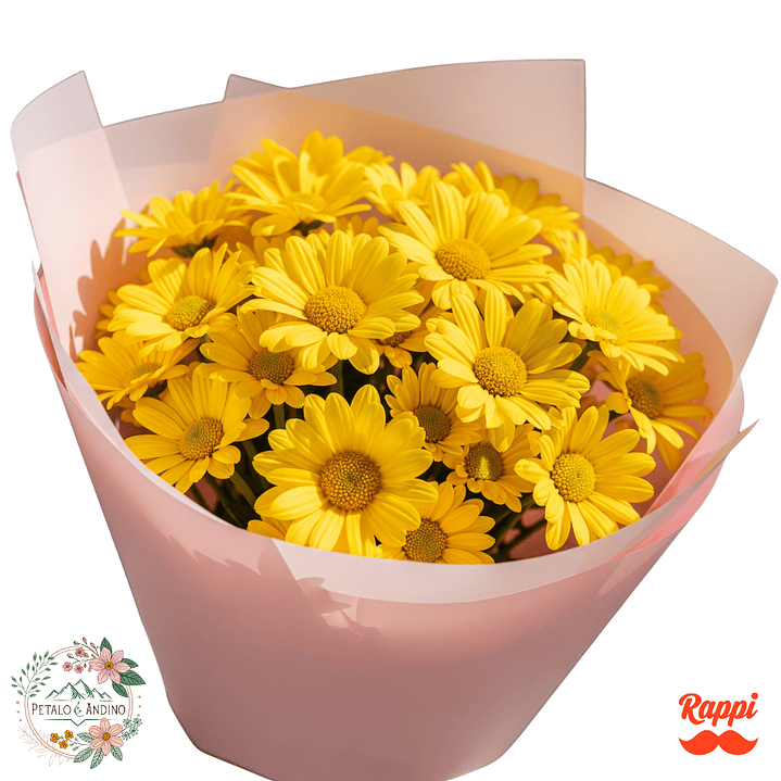 Margaritas Amarillas 1