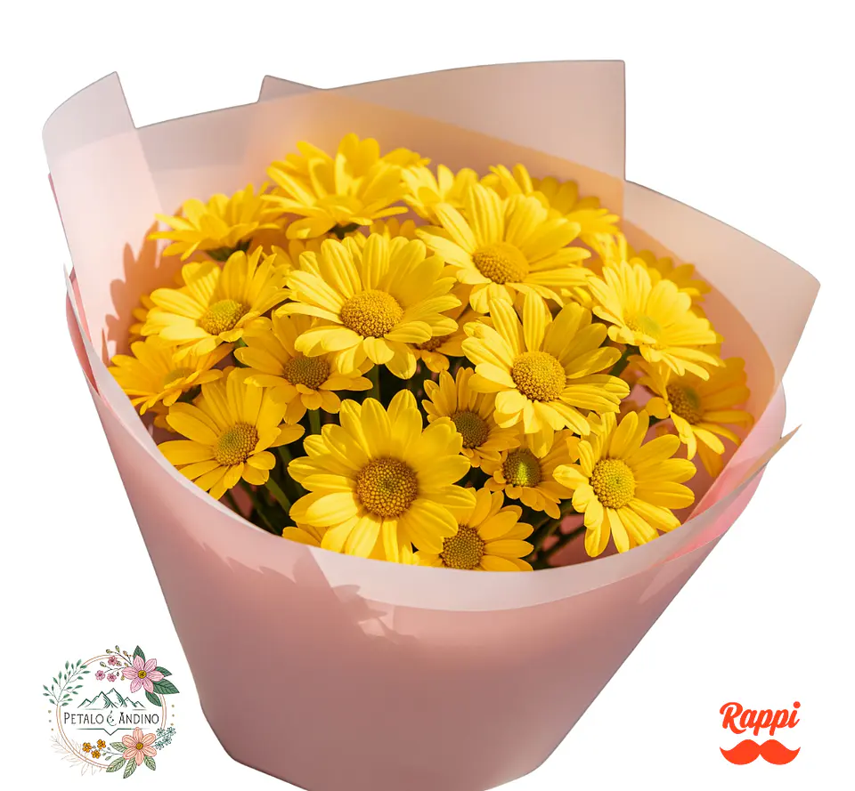 Margaritas Amarillas 1