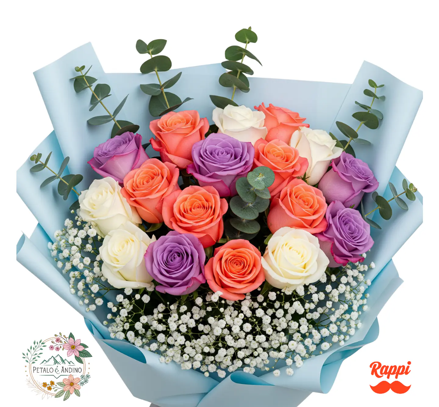 Rosas Ensueño Pastel X24 1