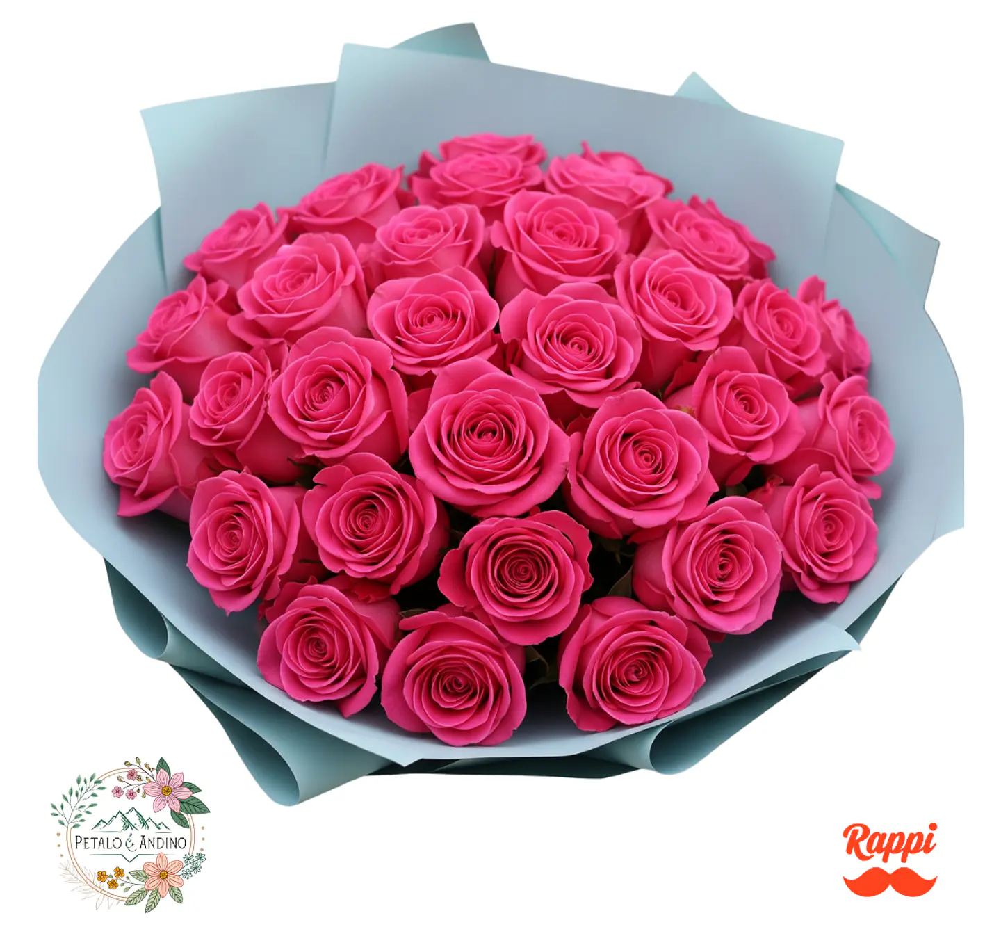 Rosas Pink Floyd Vibrante X24 1