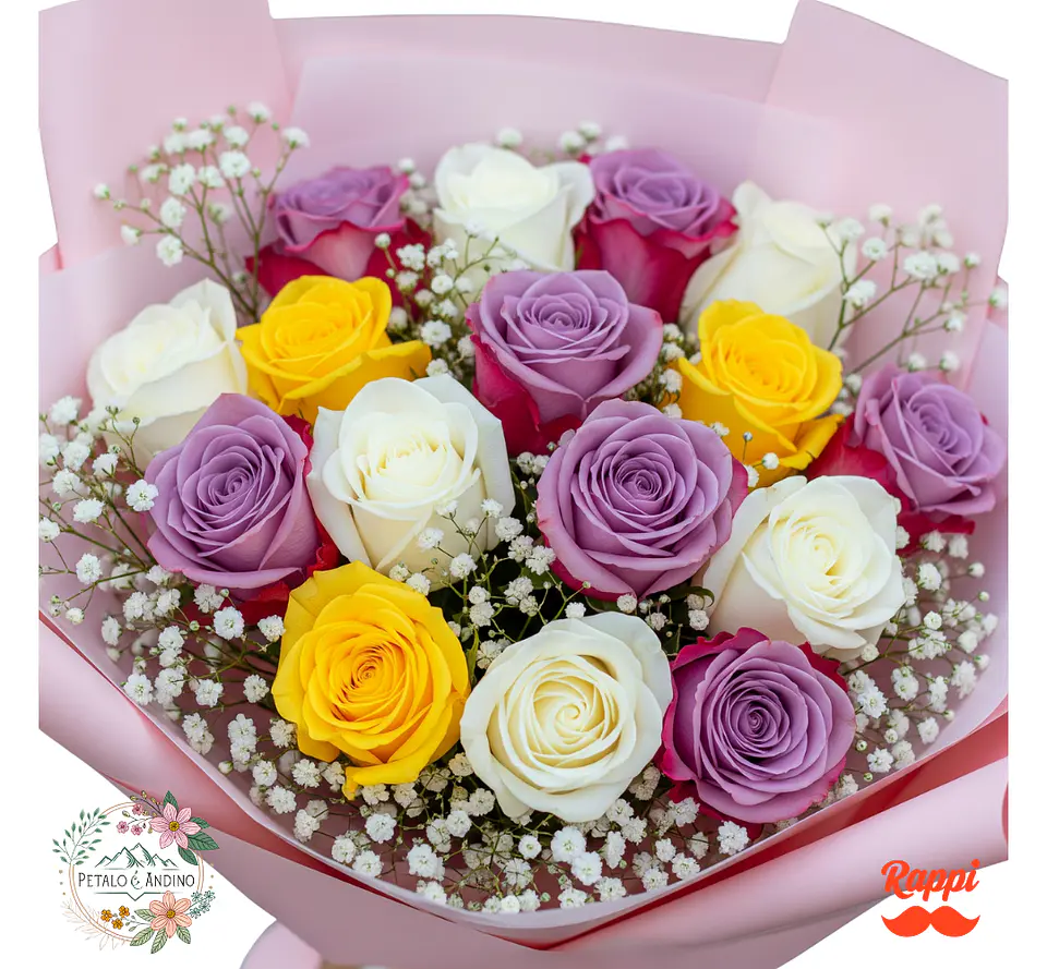 Rosas Jardín Encantado X18 1