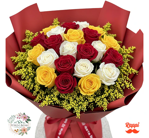 Rosas Viva La Pasión 24