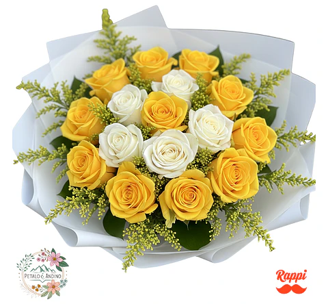 Rosas Sol Y Nieve X18