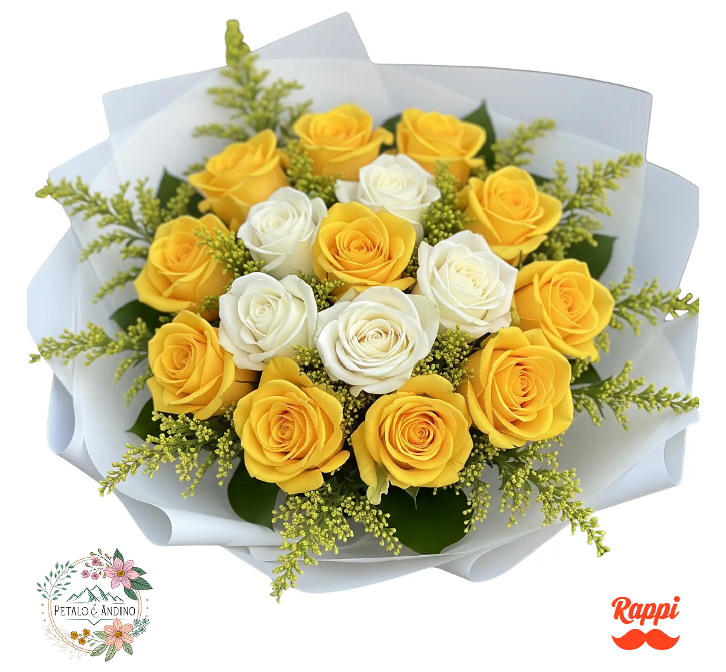 Rosas Sol Y Nieve X18 1