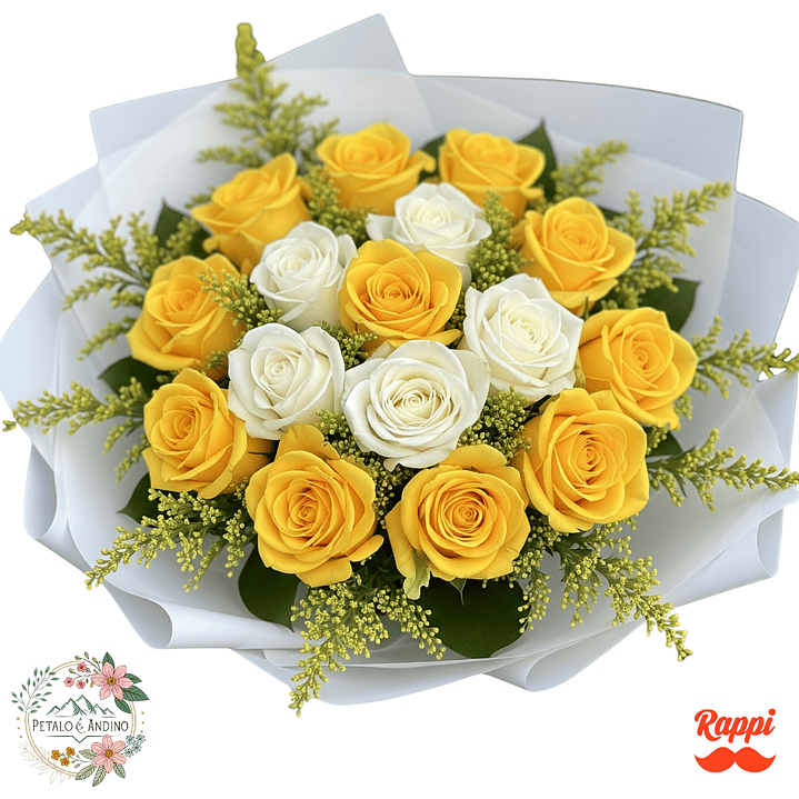 Rosas Sol Y Nieve X18 1