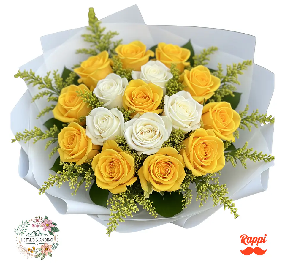 Rosas Sol Y Nieve X18 1