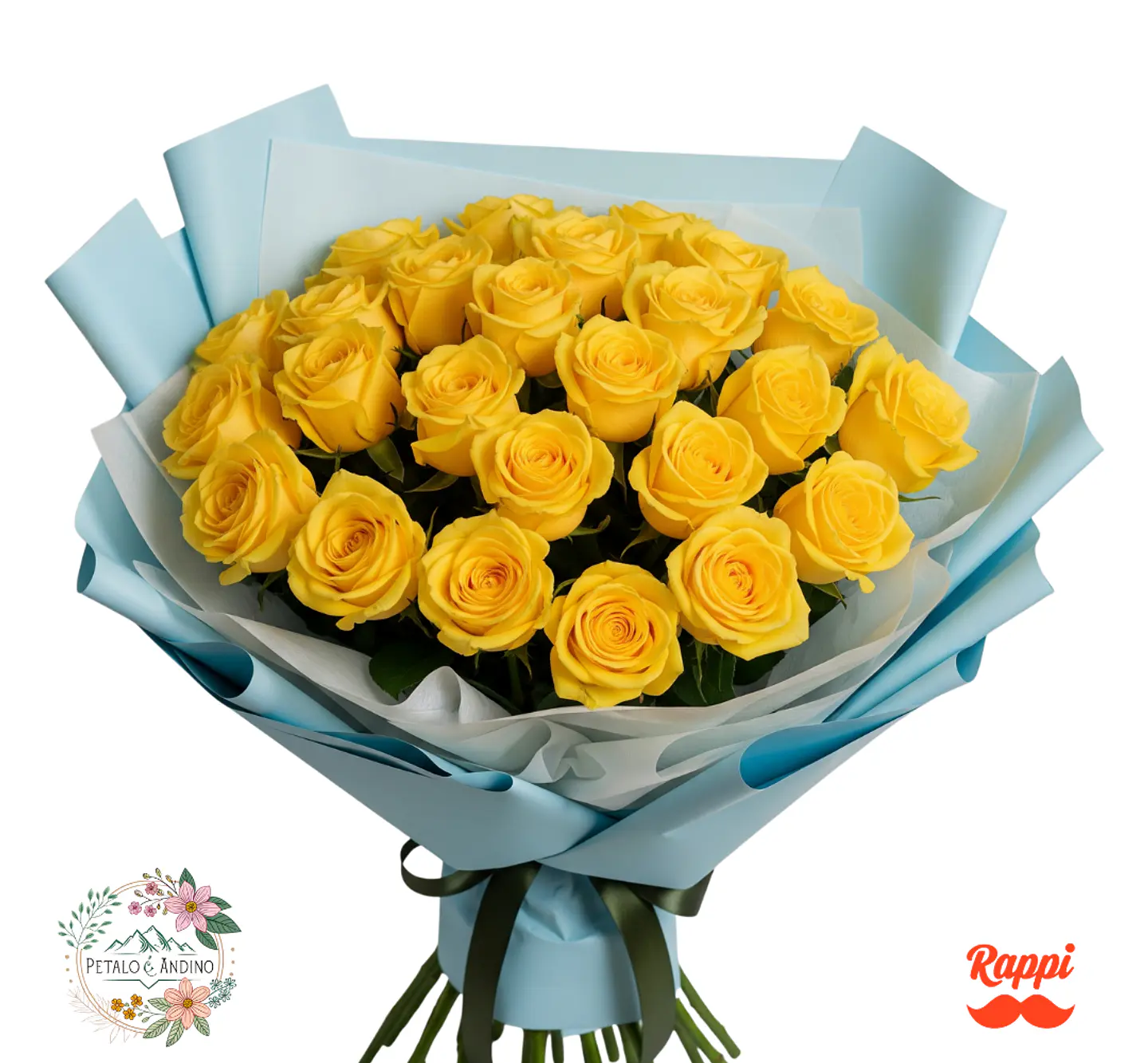 Rosas Amarillas Alegría Radiante X24 1