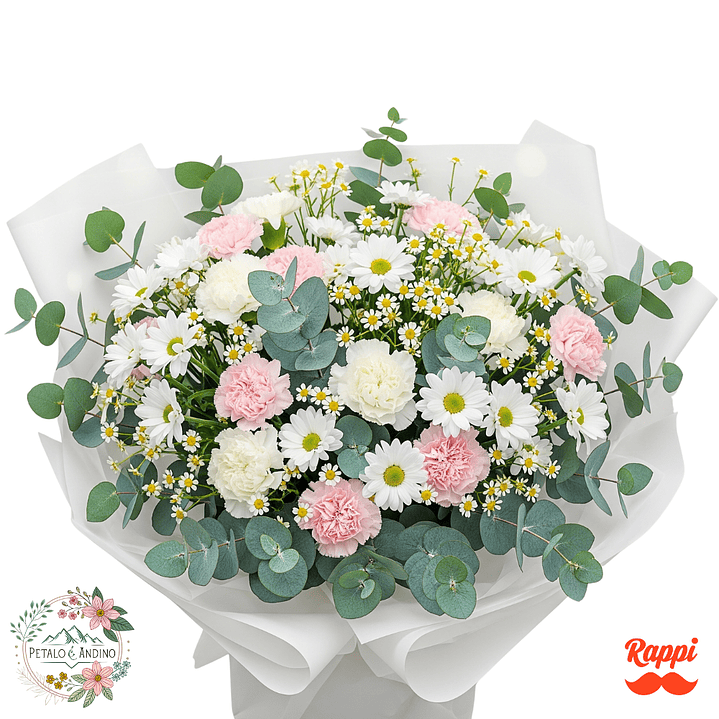 Dulce Sueño De Claveles 1