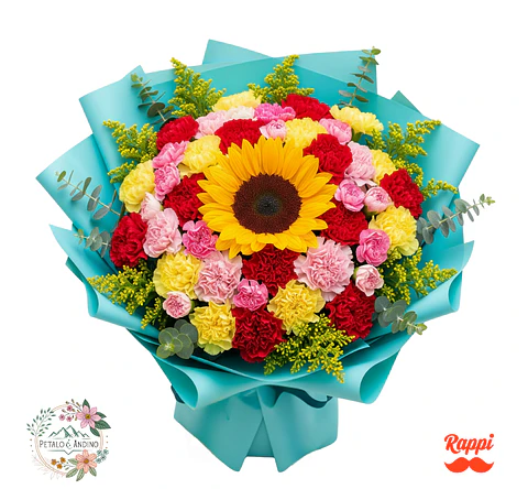 Festival De Claveles