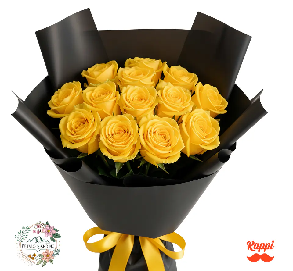 Rosas Sol Nocturno X12 1