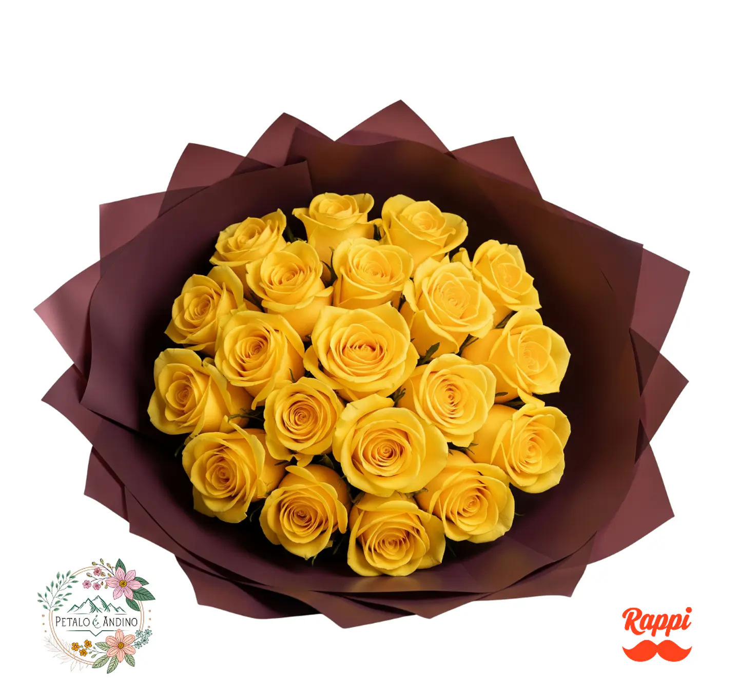 Rosas Sol Púrpura X18 1