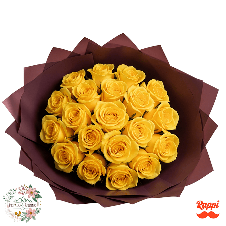 Rosas Sol Púrpura X18 1