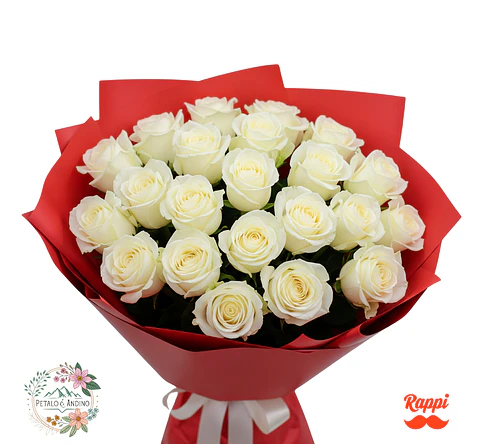 Rosas Blancas Amanecer 24