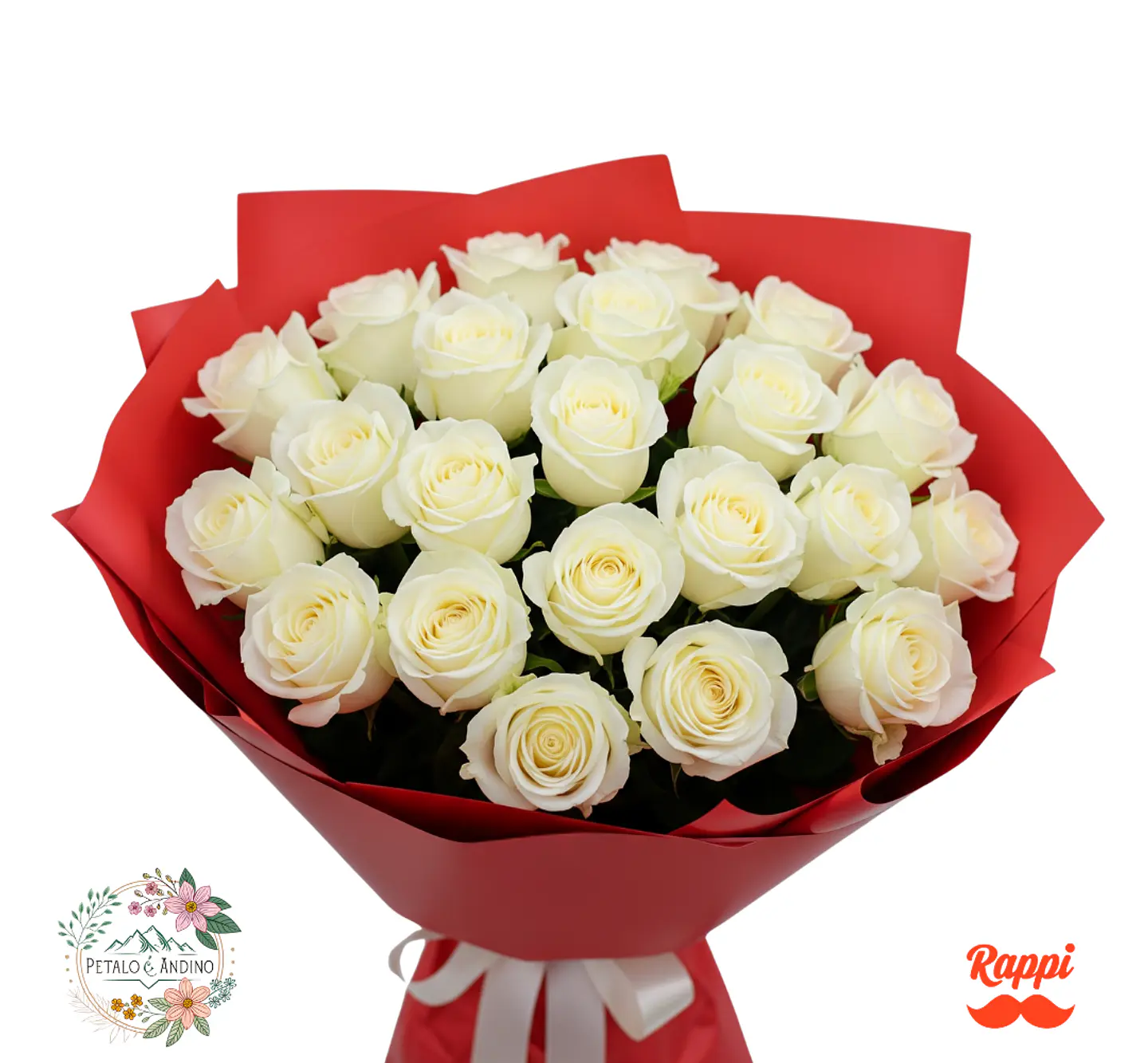 Rosas Blancas Amanecer 24 1