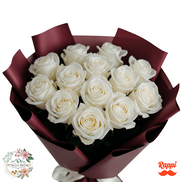 Rosas Pureza Borgoña X12 1