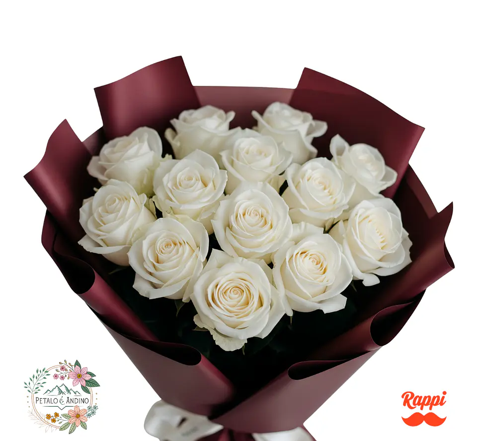 Rosas Pureza Borgoña X12 1