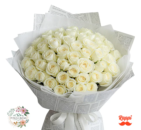 Rosas Noticia Pura X50