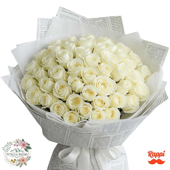 Rosas Noticia Pura X50 1