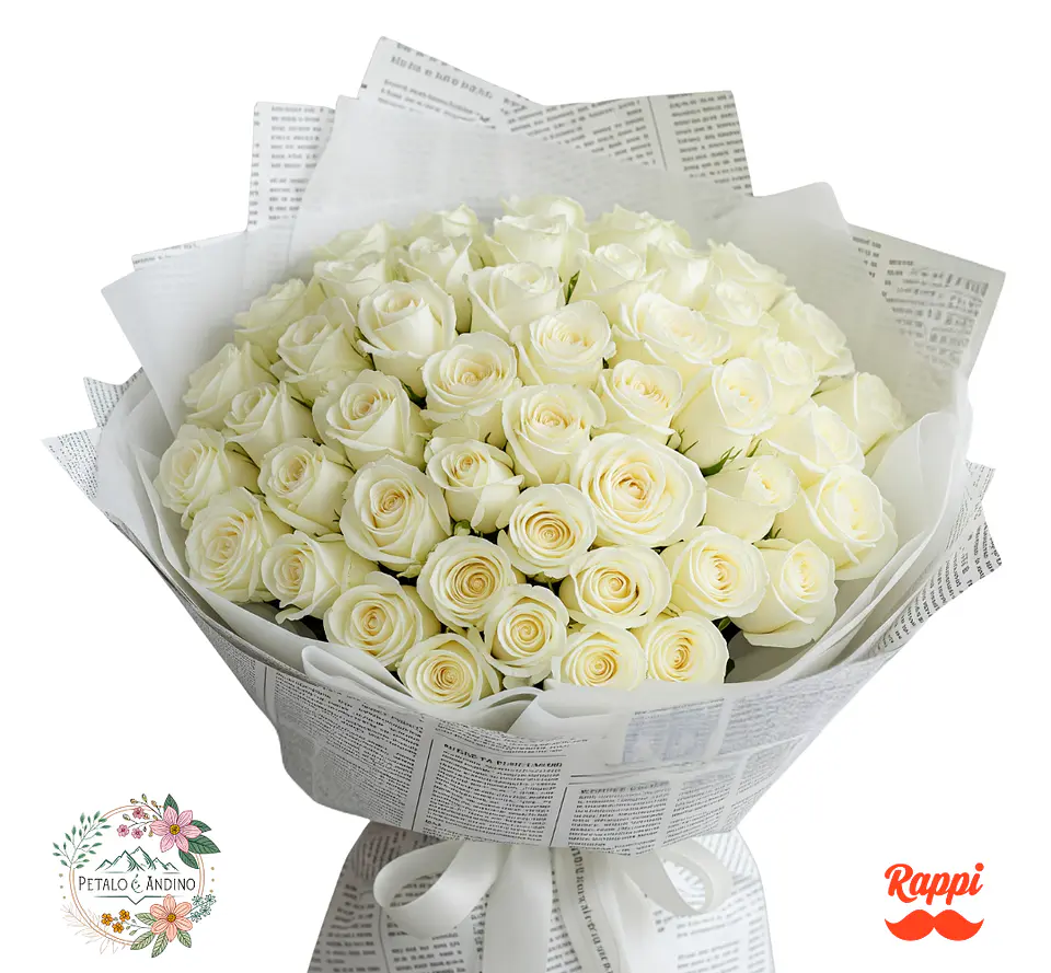 Rosas Noticia Pura X50 1