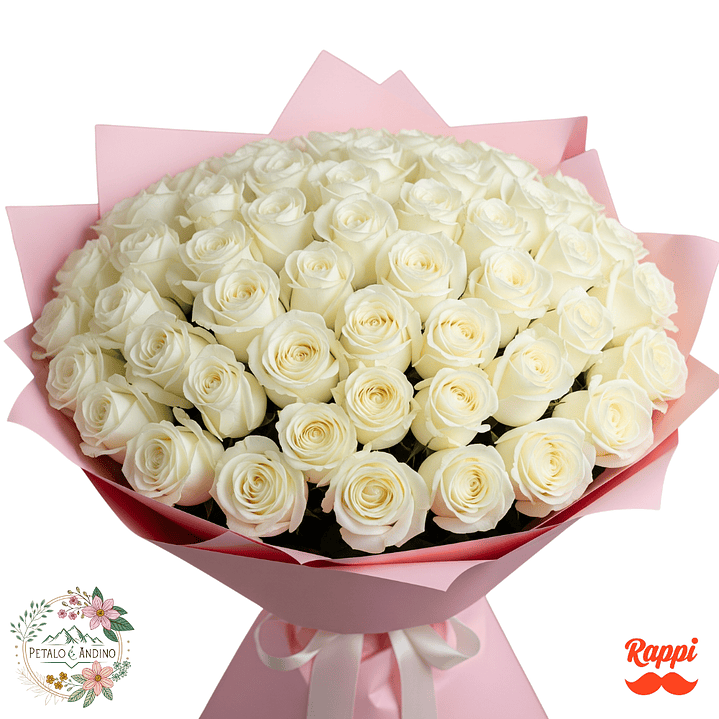 Rosas Nube De Amor X72 1