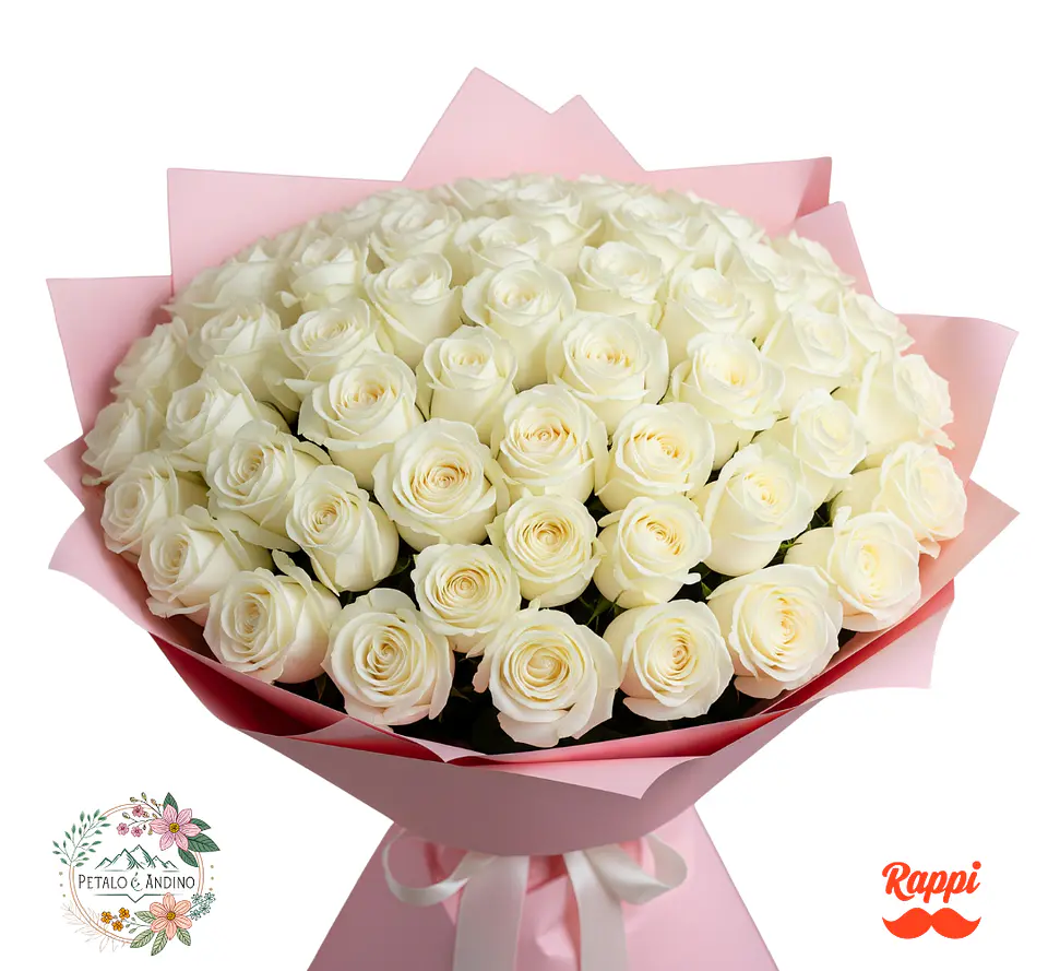 Rosas Nube De Amor X72 1