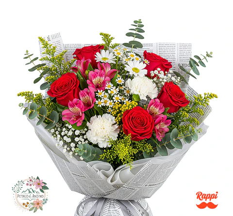 Edición Urbana Premium