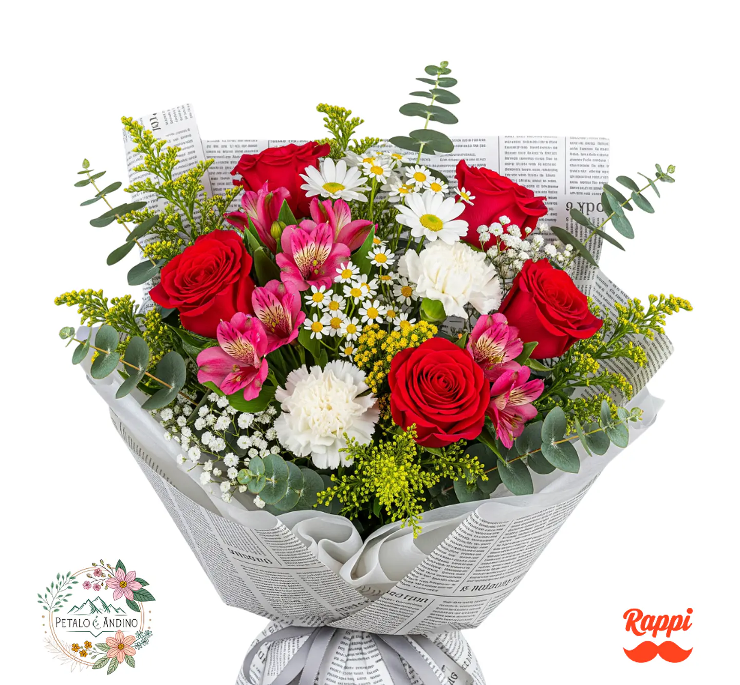 Edición Urbana Premium 1