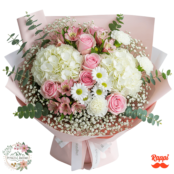 Sueño En Rosado Xl 1