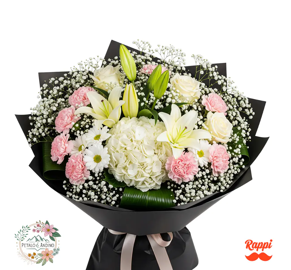 Silueta Negra Deluxe 1