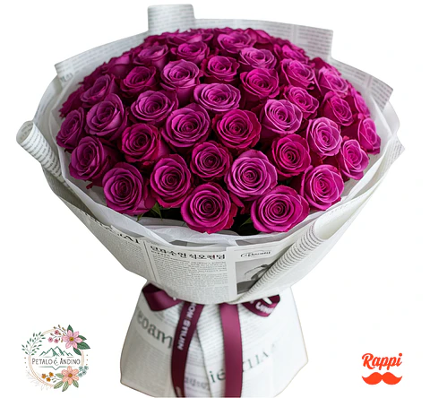 Rosas Fucsia X50
