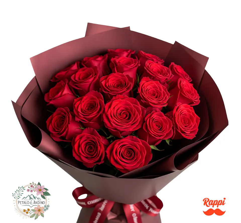 Rosas Rojo Pasión Andina 18 1