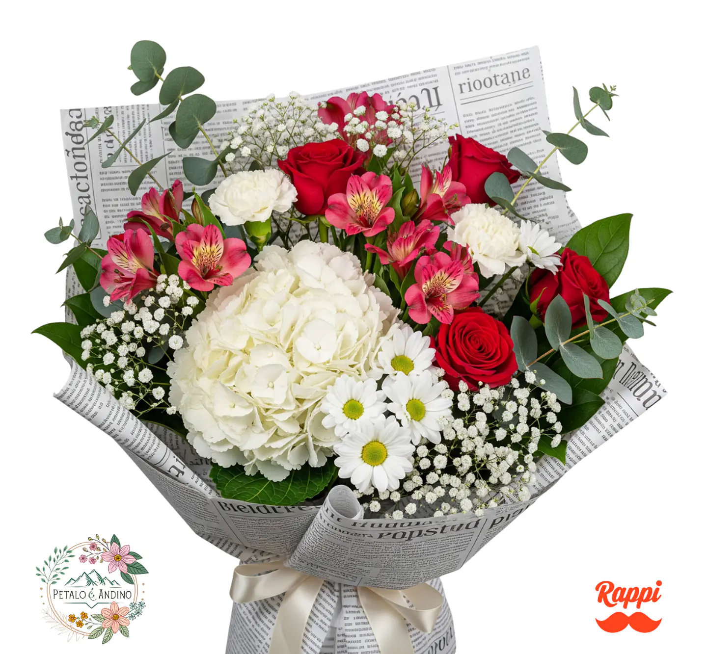 Elegancia Urbana Xl 1