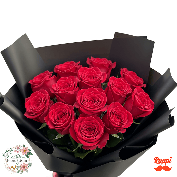 Rosas Elegancia Escarlata X12 1