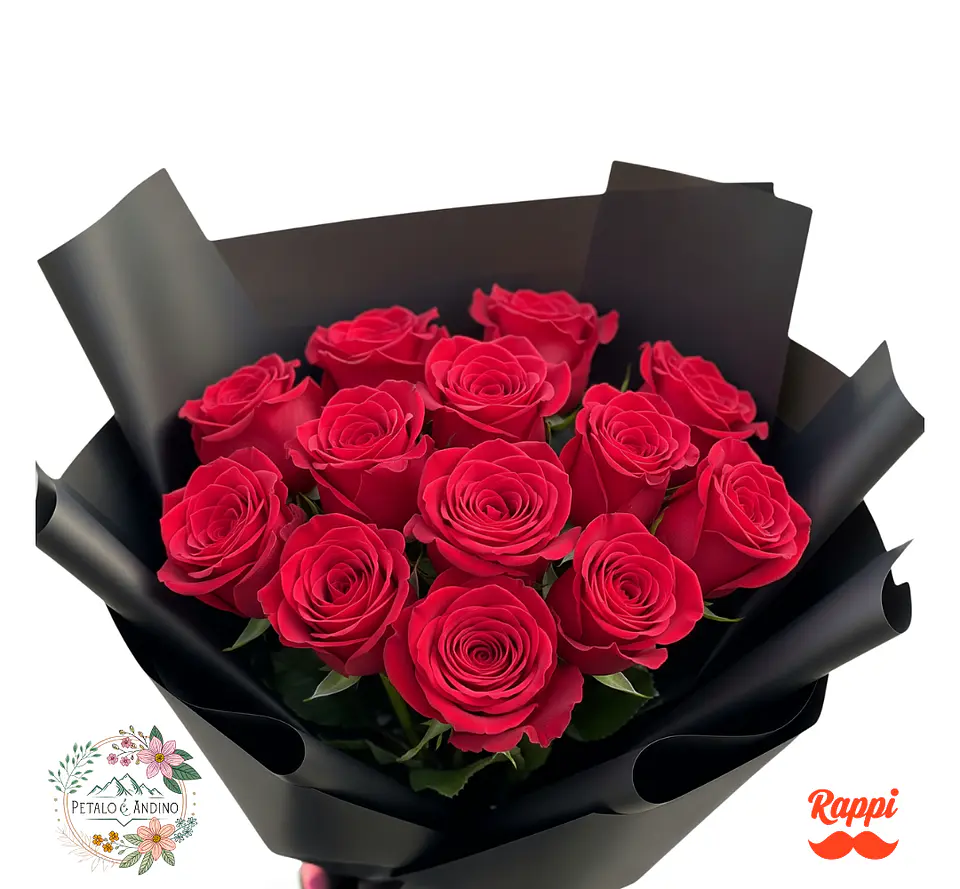 Rosas Elegancia Escarlata X12 1