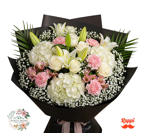 Negro Sofisticado Xxl