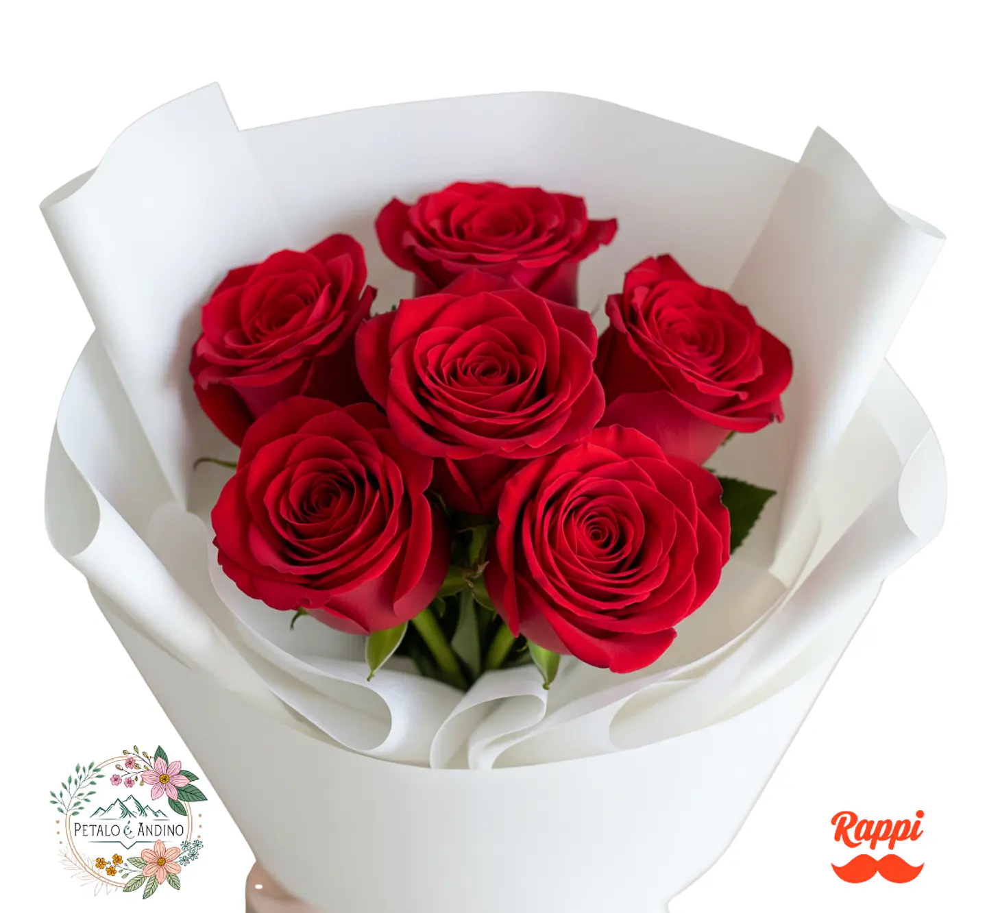 Rosas Pasión Pura X6 1