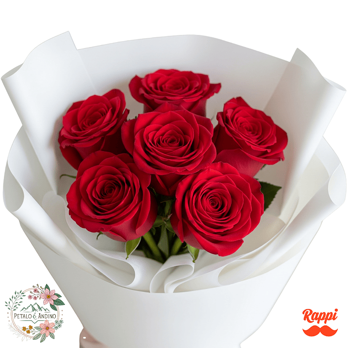 Rosas Pasión Pura X6 1