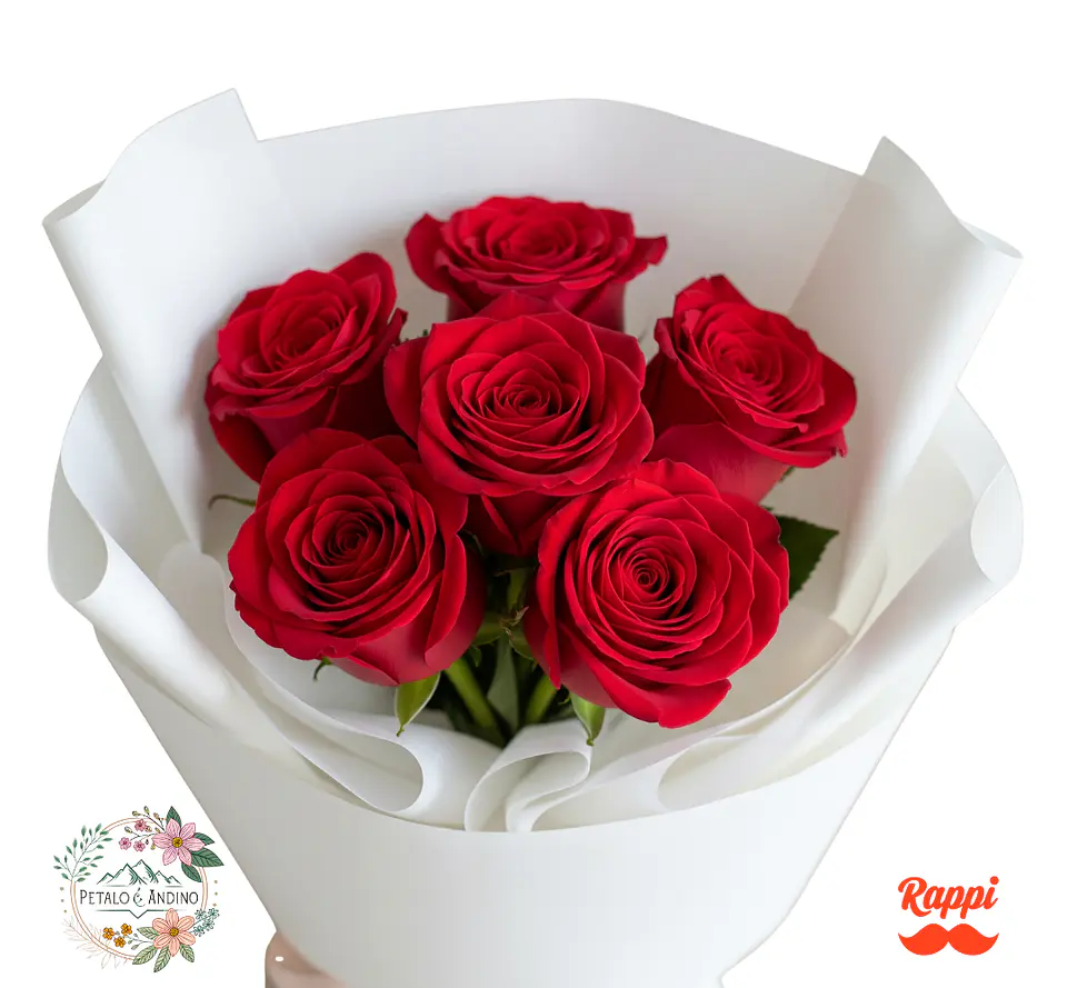 Rosas Pasión Pura X6 1