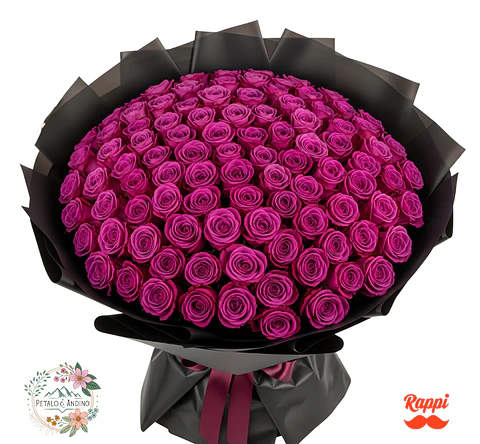 Rosas Fucsia Real X100