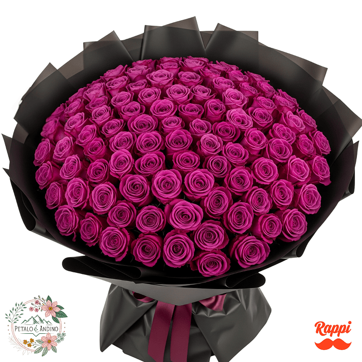 Rosas Fucsia Real X100 1