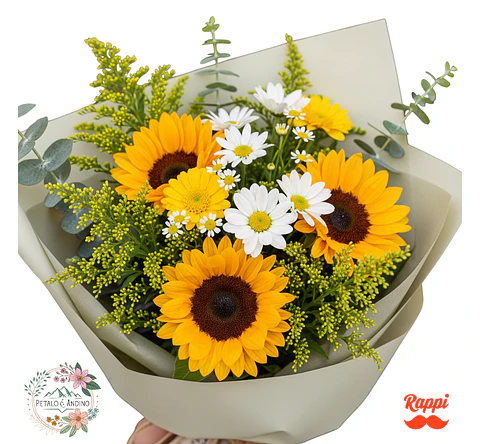 Alegría Girasol Y Margarita