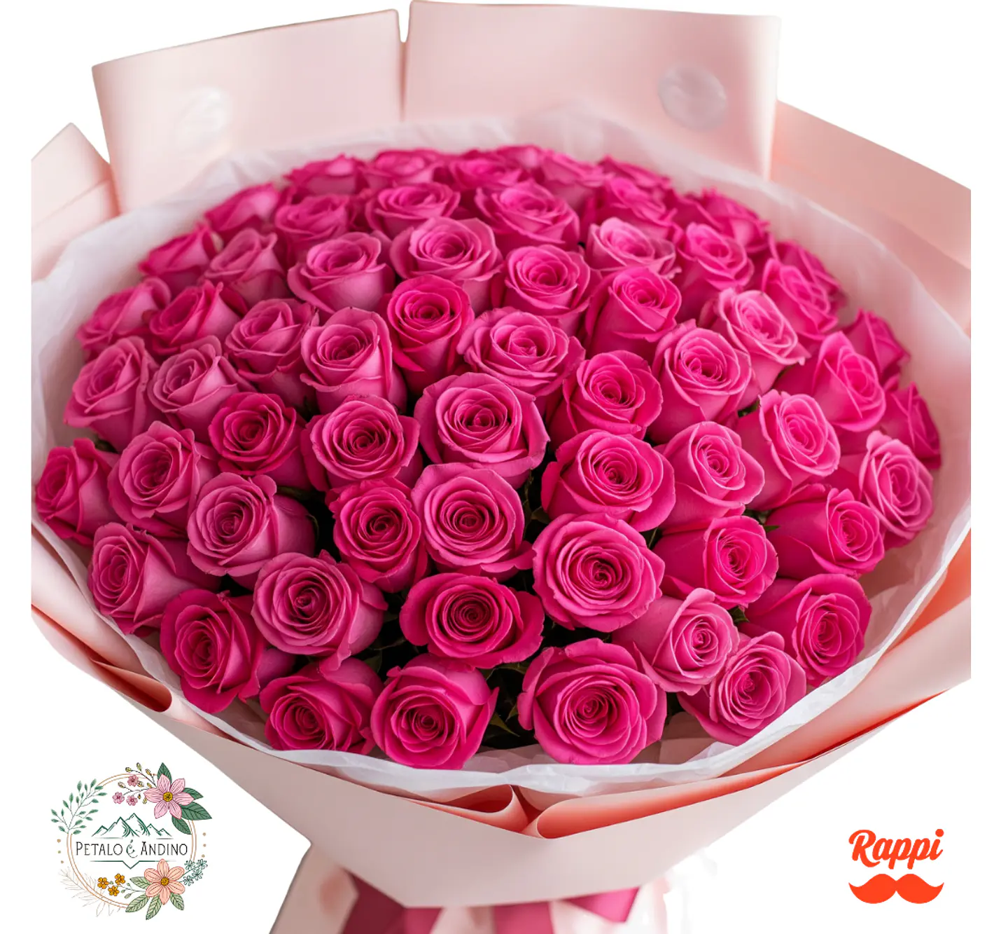 Rosas Pink Floyd Deslumbrante X50 1