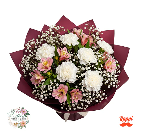 Sueños De Primavera