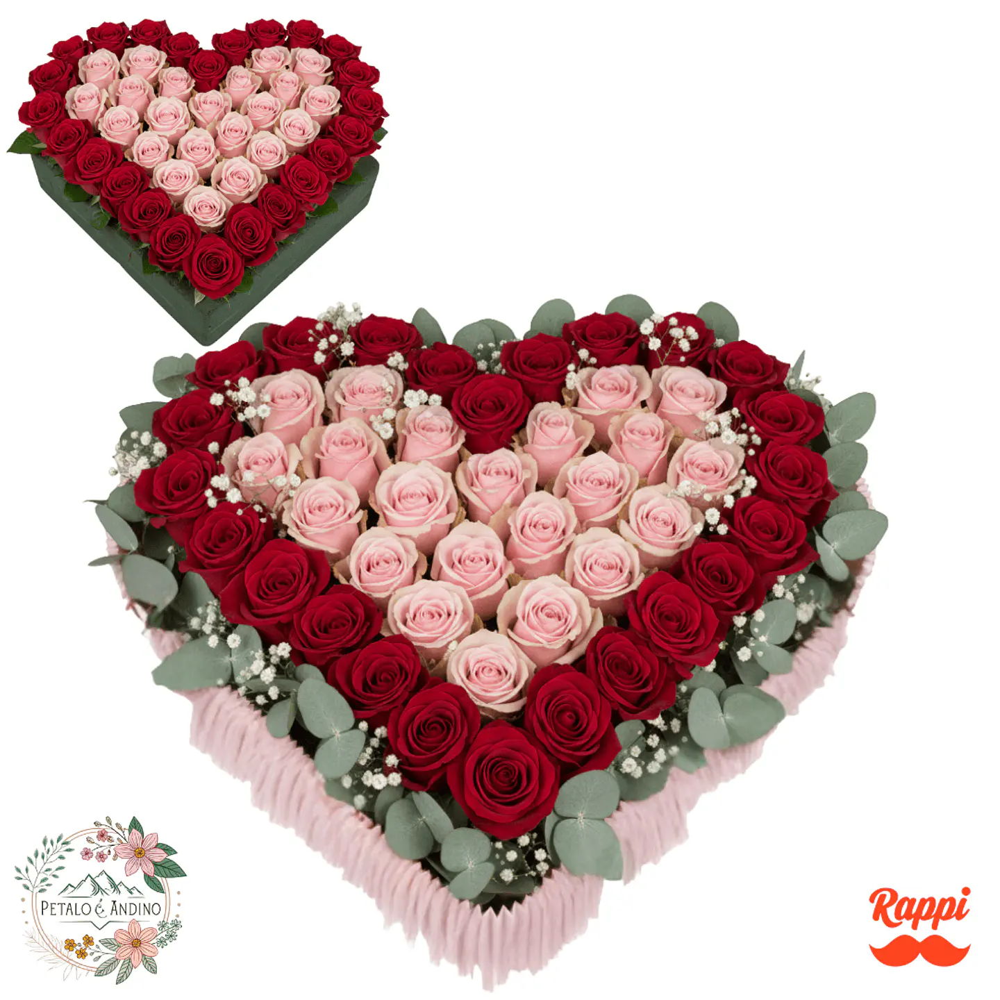 Corazón de Rosas Rojas y Rosadas 1