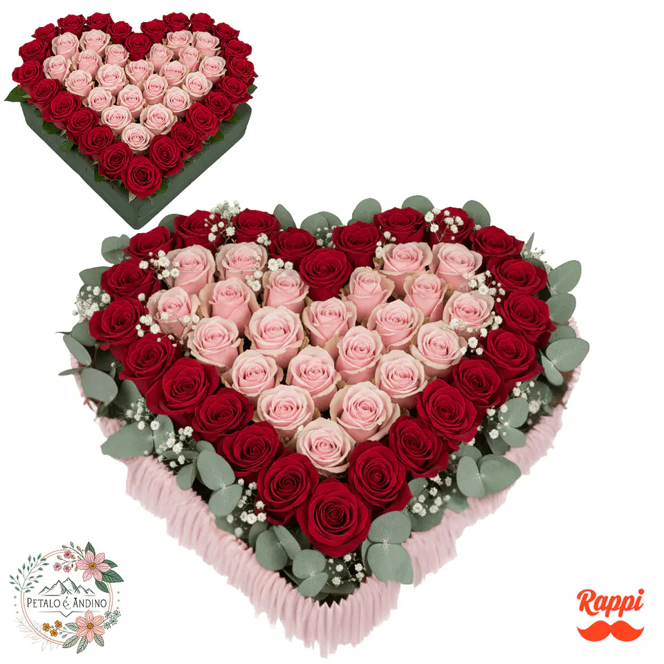 Corazón de Rosas Rojas y Rosadas 1