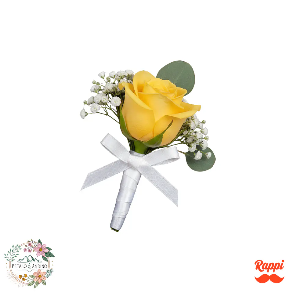 Elegancia Dorada Novio 1